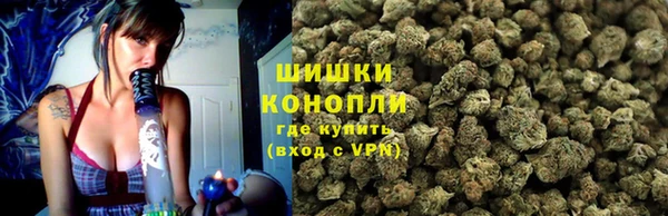 ПСИЛОЦИБИНОВЫЕ ГРИБЫ Алексеевка