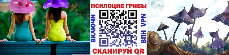 Галлюциногенные грибы Magic Shrooms  hydra маркетплейс  Дмитров 